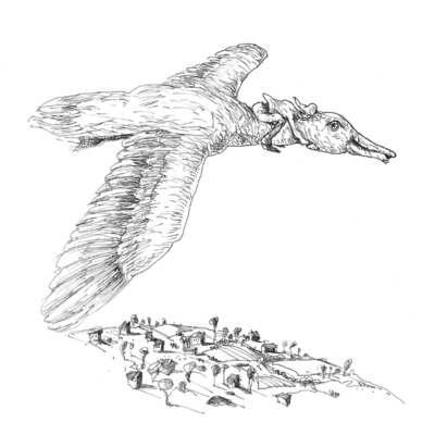 Illustration von Nils Holgersson auf Gans 