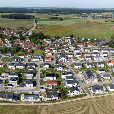 Bild vergr&ouml;&szlig;ern: Panorama Rindenmoos