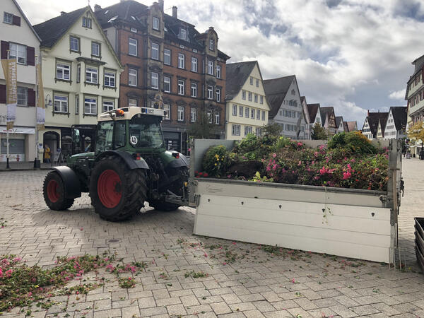 Entsorgung von Balkonblumenschmuck auf dem Biberacher Marktplatz