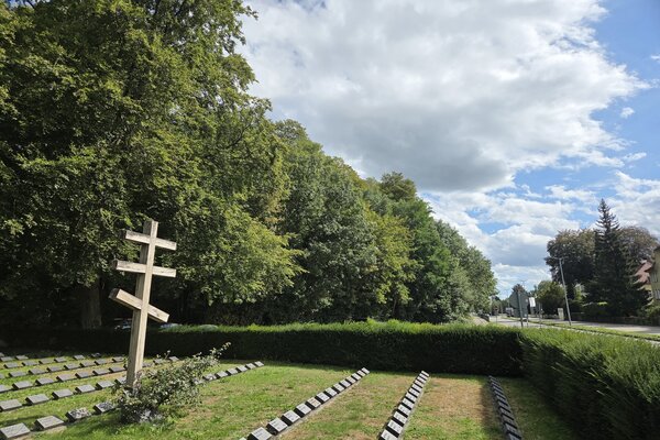 Durch Waldumbau soll ein langfristig gesunder Baumbestand geschaffen werden.
