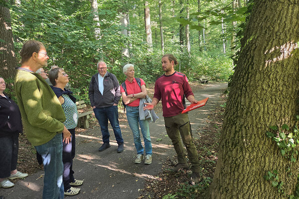 Infoveranstaltung Baumpflege