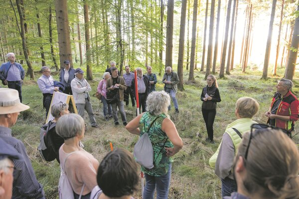 Waldbegang 2026